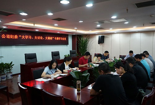 以“大學(xué)習(xí)、大討論、大調(diào)研”為動力推動公司紀(jì)檢監(jiān)察工作扎實開展
